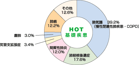 売れ筋-在宅酸素療法をイチから学ぶ本 基•礎から適応•病態別の